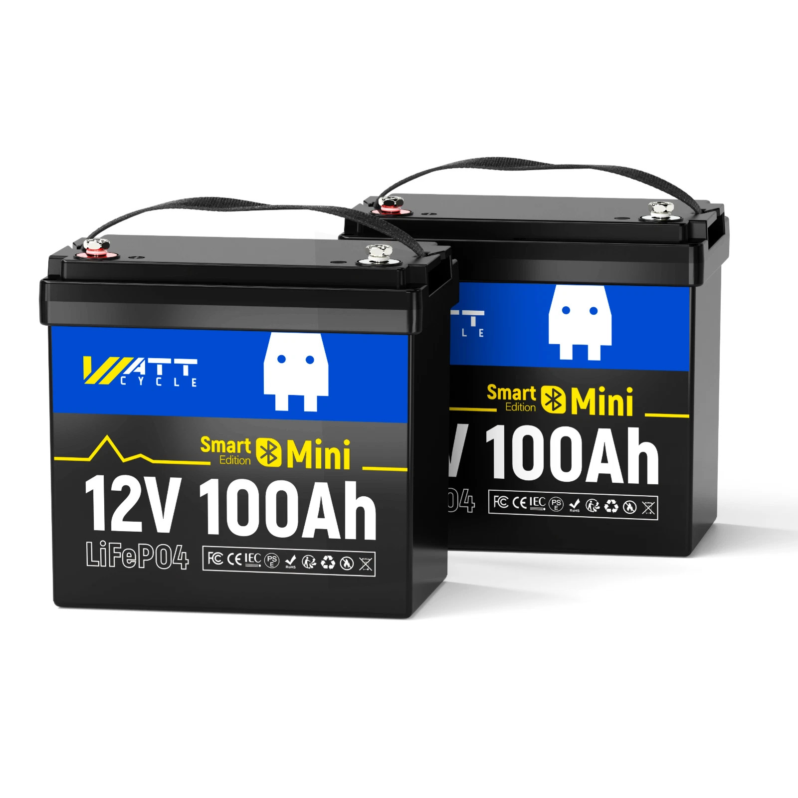 2Pcs 12V 100Ah Mini LiFePO4 Battery With 100A BMS Bluetooth for Marine Houseboat