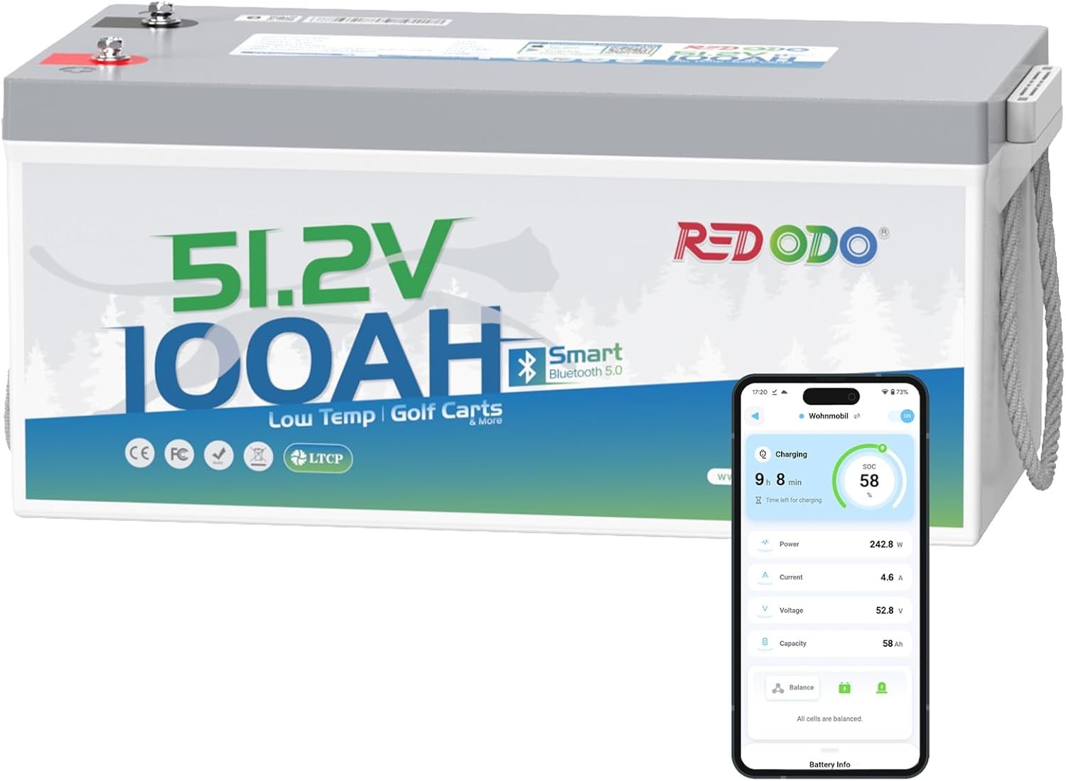 Redodo 48V 100Ah Lithium Golf Cart Bluetooth Battery Smart 200A BMS & Low-Temp