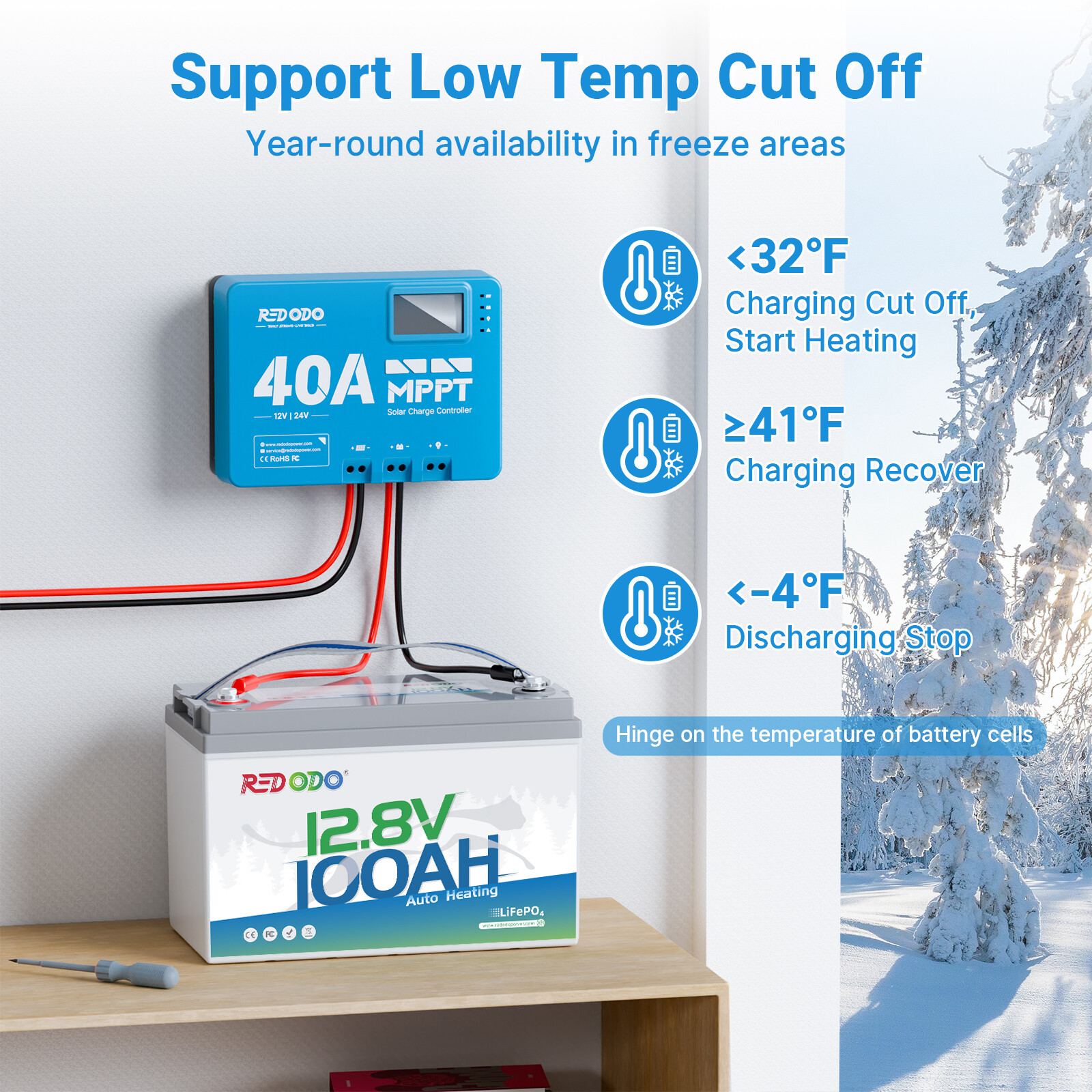 Redodo 12V 100Ah LiFePO4 Battery with 14.6V 20A Charger, Self-Heating, 100A BMS