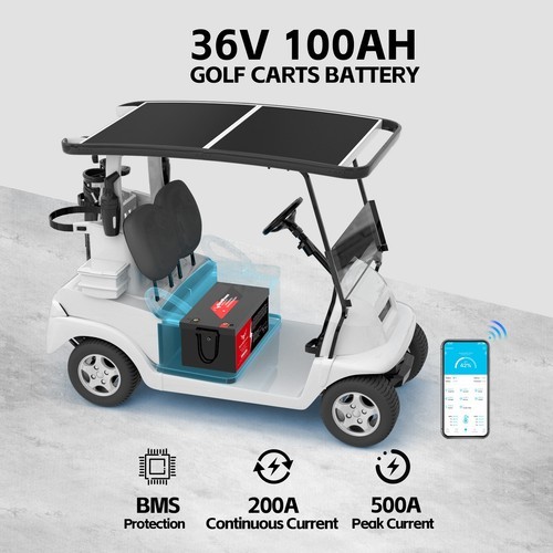 Newtipower 36V 100Ah LiFePO4 Golf Cart Lithium Battery 10000+Cycles 200A BMS RV