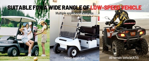 48V 100Ah Golf Cart LiFePO4 Lithium Battery Metal Case 200A BMS Off-grid Solar