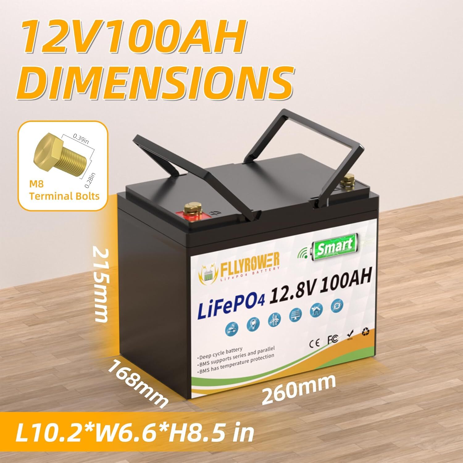 12V 100Ah LiFePO4 Lithium Battery Bluetooth monitoring For RV Solar Marine