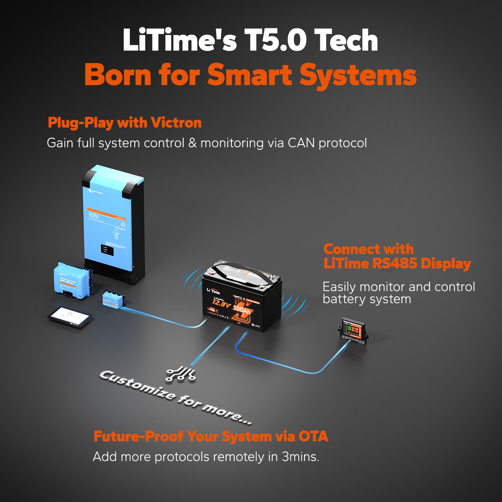 LiTime 12V 100Ah LiFePO4 Group 31 Battery Bluetooth BMS Compatible with Victron