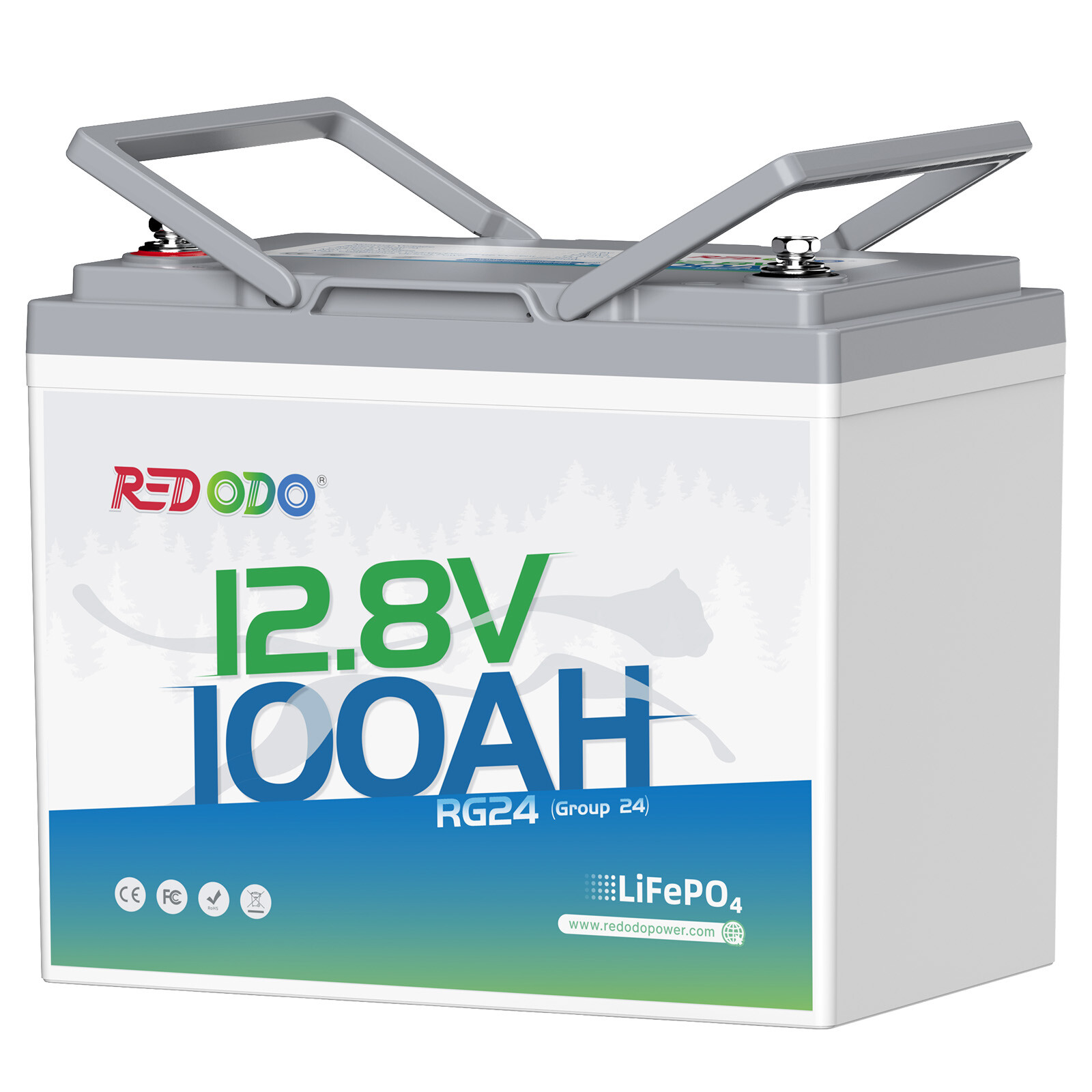 Redodo 12V 100Ah LiFePO4 Lithium Battery 100A BMS Group 24 for RV Trolling Motor