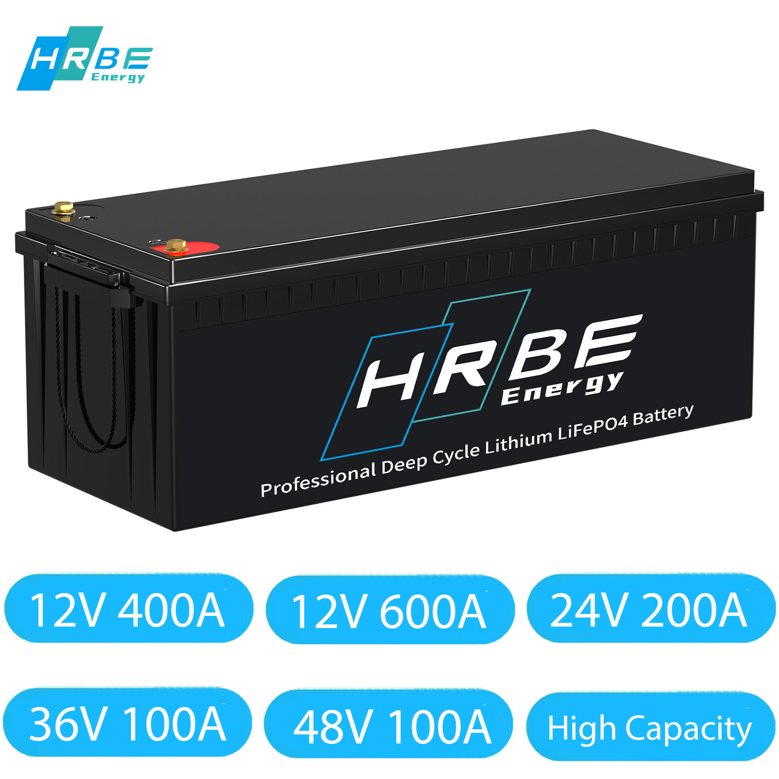 12V 24V 36V 48V 100Ah 200Ah 400Ah Lithium LiFePO4 Battery 200A BMS 10000+Cycles