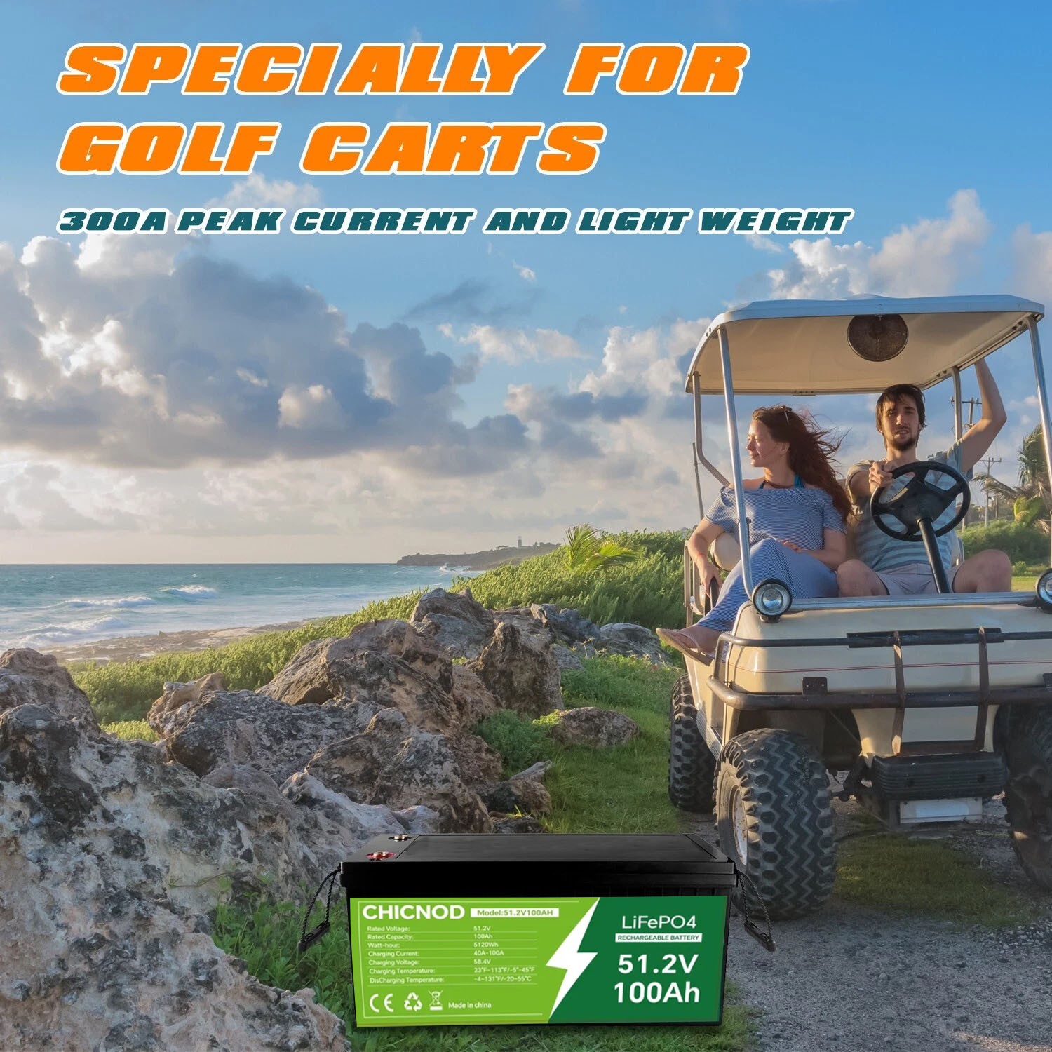100Ah 48V LiFePO4 Lithium Battery 51.2V Built-in BMS Deep Cycle for RV Golf Cart