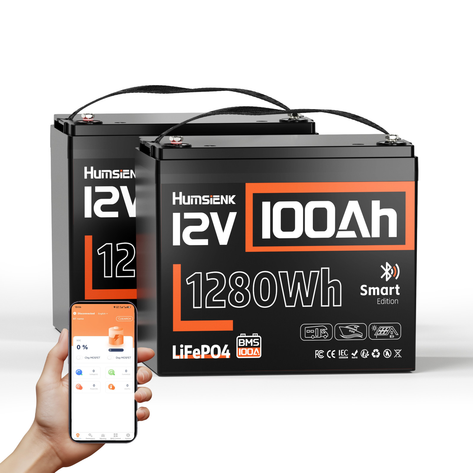 2Pack 2560Wh 12V 100Ah Bluetooth LiFePO4 Lithium Battery 100A BMS Group24 Boat