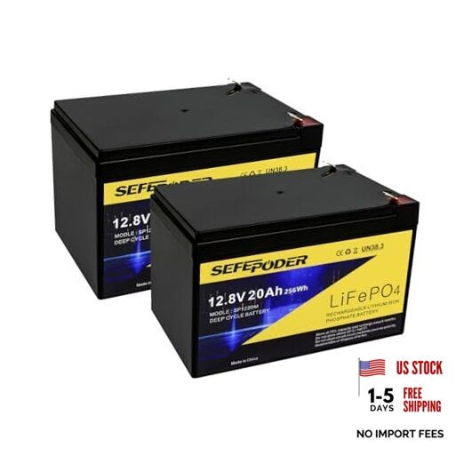 12V 20Ah Lithium LiFePO4 Deep Cycle Battery 2 Pack, 4000+ 12V 20Ah-Mini-2 Pack