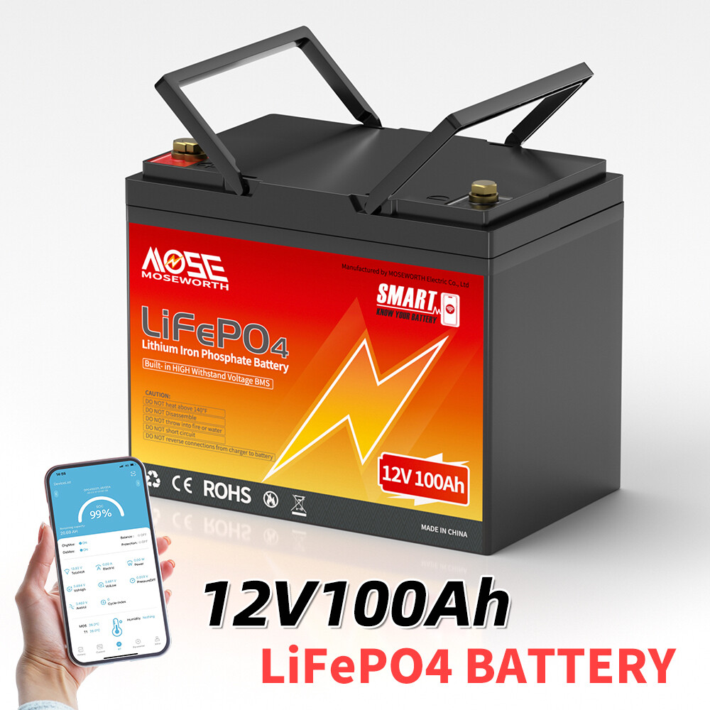 12V 100Ah LiFePO4 Lithium Battery Bluetooth 100A BMS Deep Cycles for Solar RV