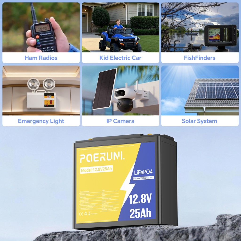 Deep Cycles LiFePO4 Battery 12V Rechargeable Lithium Phosphate Battery BMS 6Ah