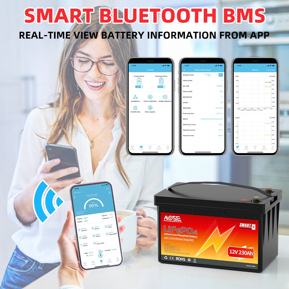 12V 230Ah LiFePO4 Lithium Battery 200A BMS Bluetooth App Marine Solar Low Temp