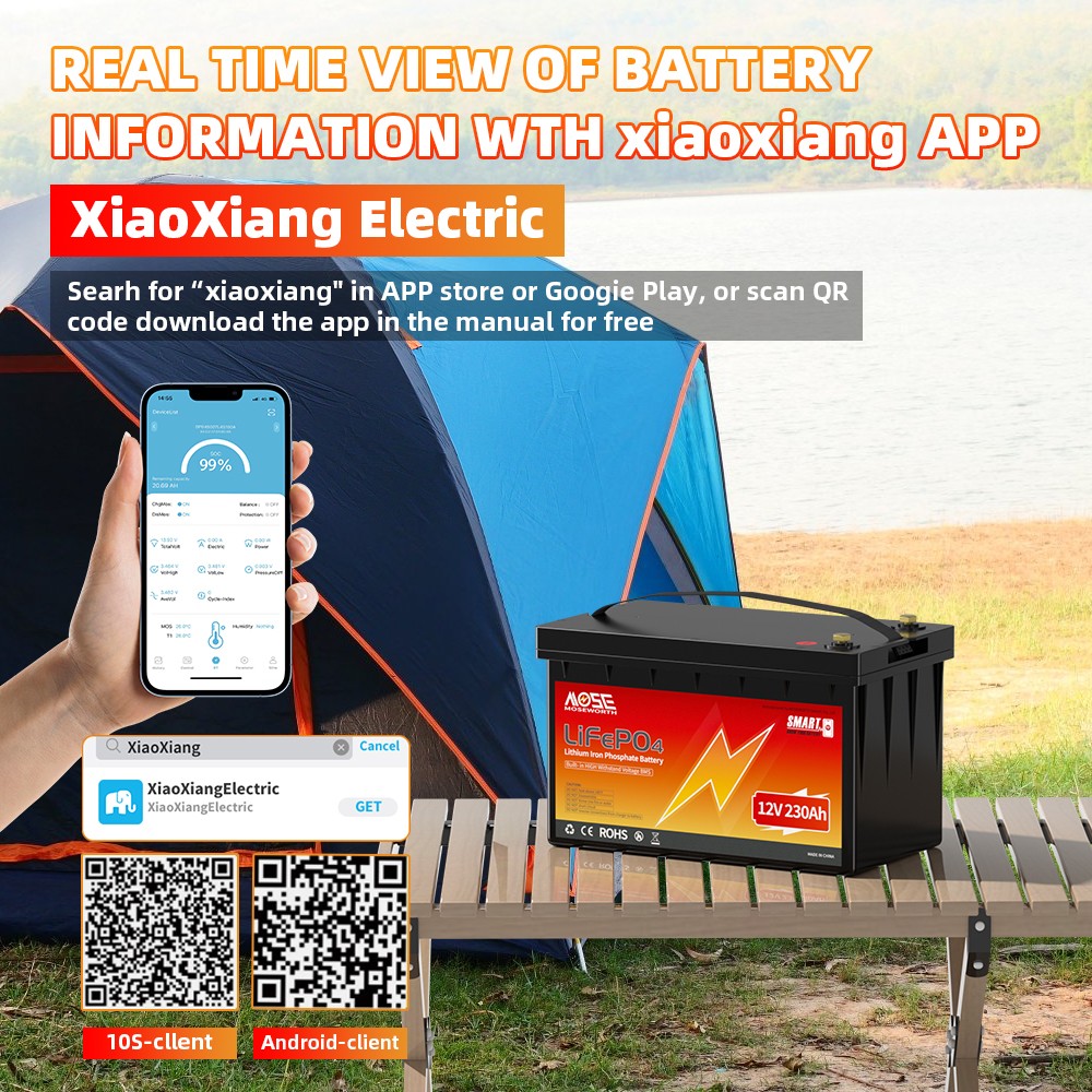 12V 230Ah LiFePO4 Lithium Battery 200A BMS Bluetooth App Marine Solar Low Temp