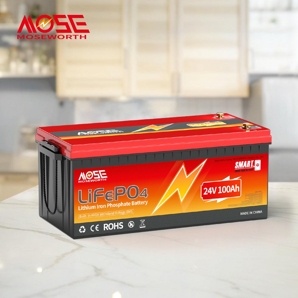 24V LiFePO4 Battery 100Ah Bluetooth Deep Cycles BMS for RV Solar Marine Off-Grid