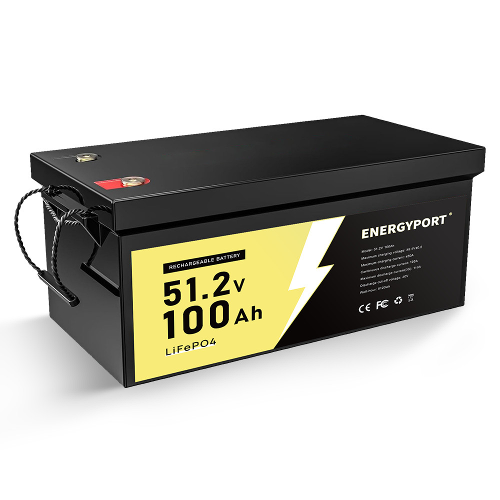 12V 48V 100Ah 200Ah LiFePO4 Lithium Battery BMS Deep Cycles For RV Solar Marine