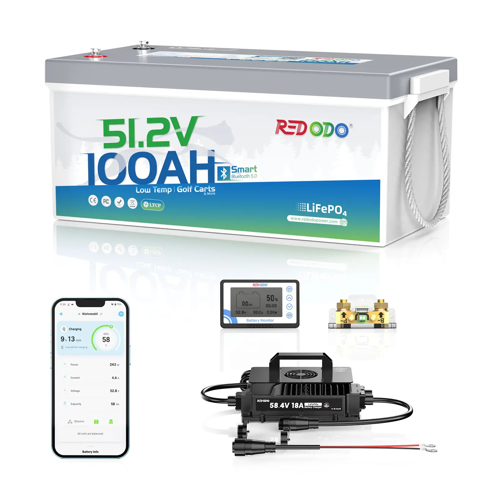 Redodo 48V 100Ah Bluetooth Golf Cart LiFePO4 Battery, Charger, Monitor Set