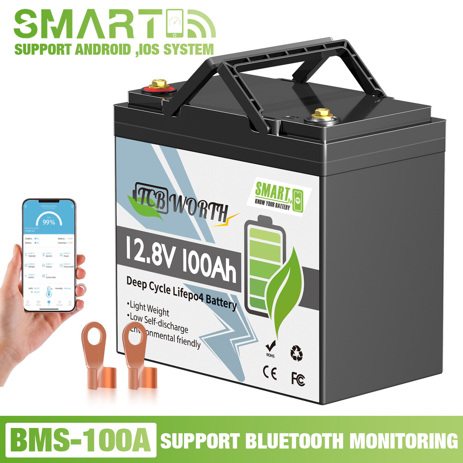 12V 100AH LiFePO4 Lithium MINI Battery Bluetooth 100A BMS for Solar RV Off-grid