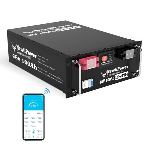 Newtipower 48V 100Ah LiFePO4 Battery Server Rack Energy Storage Backup 5120Wh RV