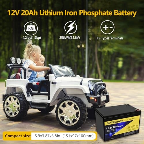 12V 20Ah Lithium LiFePO4 Deep Cycle Battery, 4000 Cycles 12V 20Ah-Mini