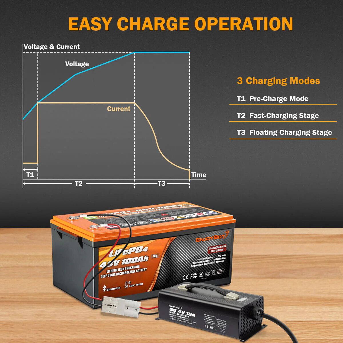 48V 100Ah Lithium Golf Cart Battery 200A BMS LiFePO4 APP Charger Monitor Set EB