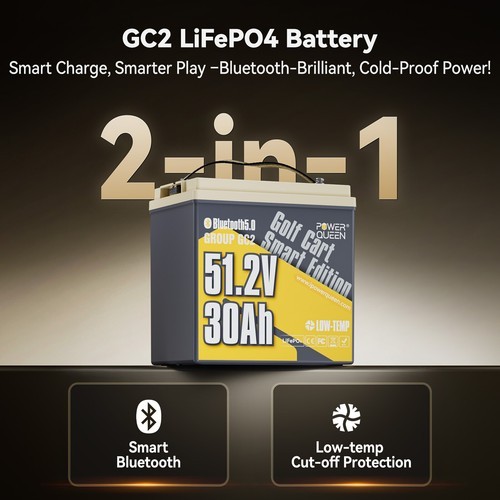 Power Queen 48V 30Ah Bluetooth Low Temp Golf Cart Lithium Battery BMS Deep Cycle