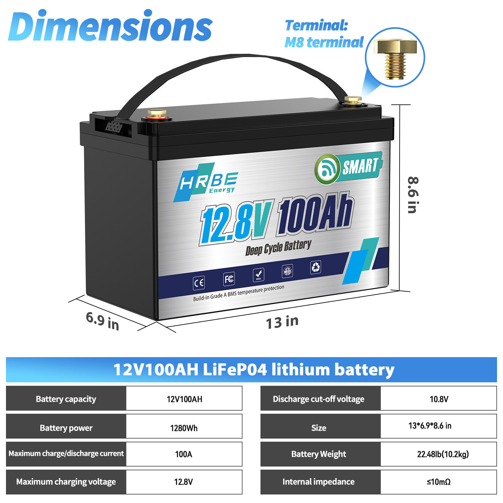 Mini LiFePO4 Lithium Battery 12V 100Ah with Charger 15000+ Deep Cycle 100A BMS