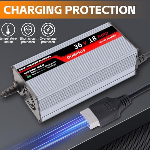 43.8V 18A LifePo4 Lithium Battery Charger Smart Golf Cart, RV & 36V Motor