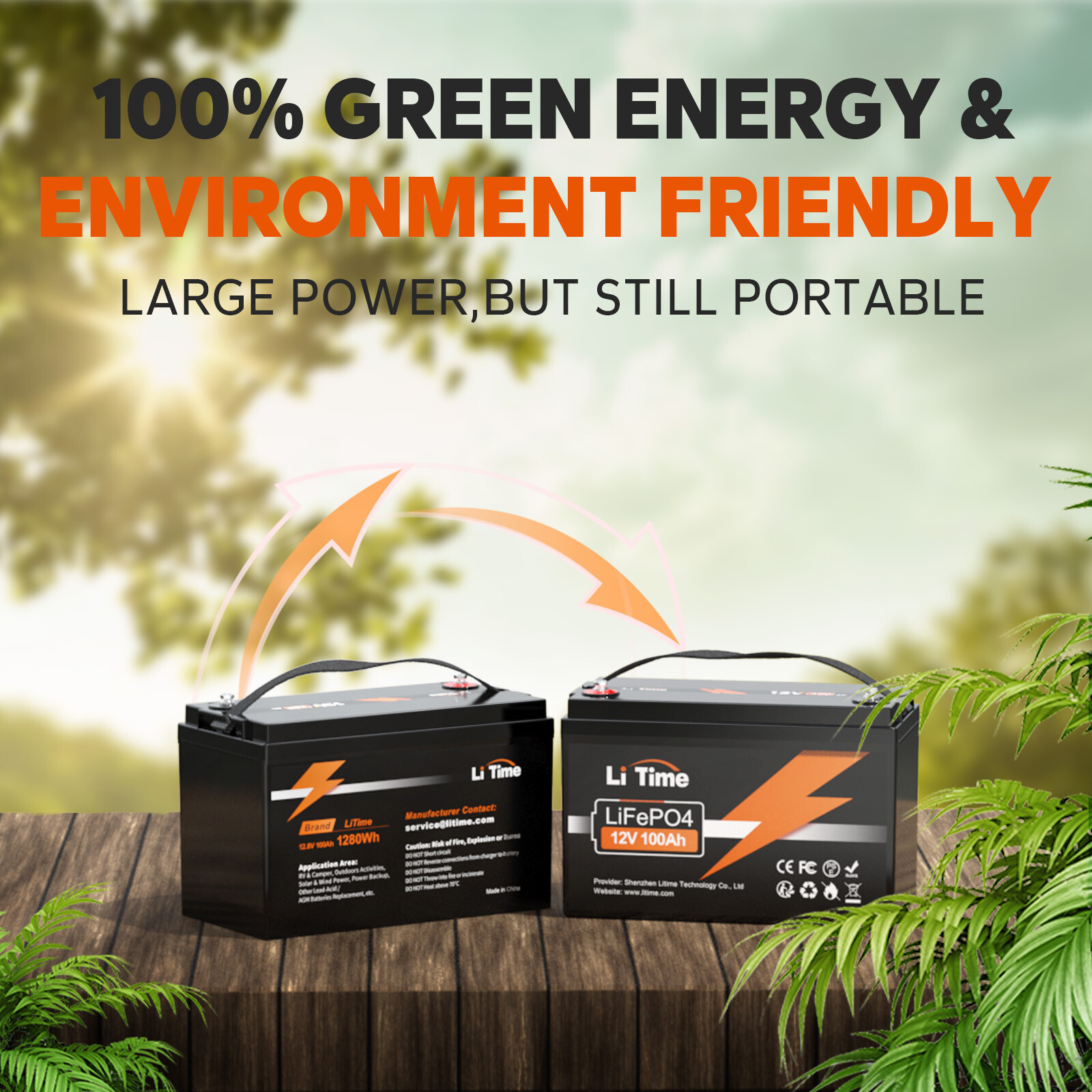 Litime 4Packs 12V 100Ah LiFePO4 Lithium Battery BMS for Solar Off-grid Marine