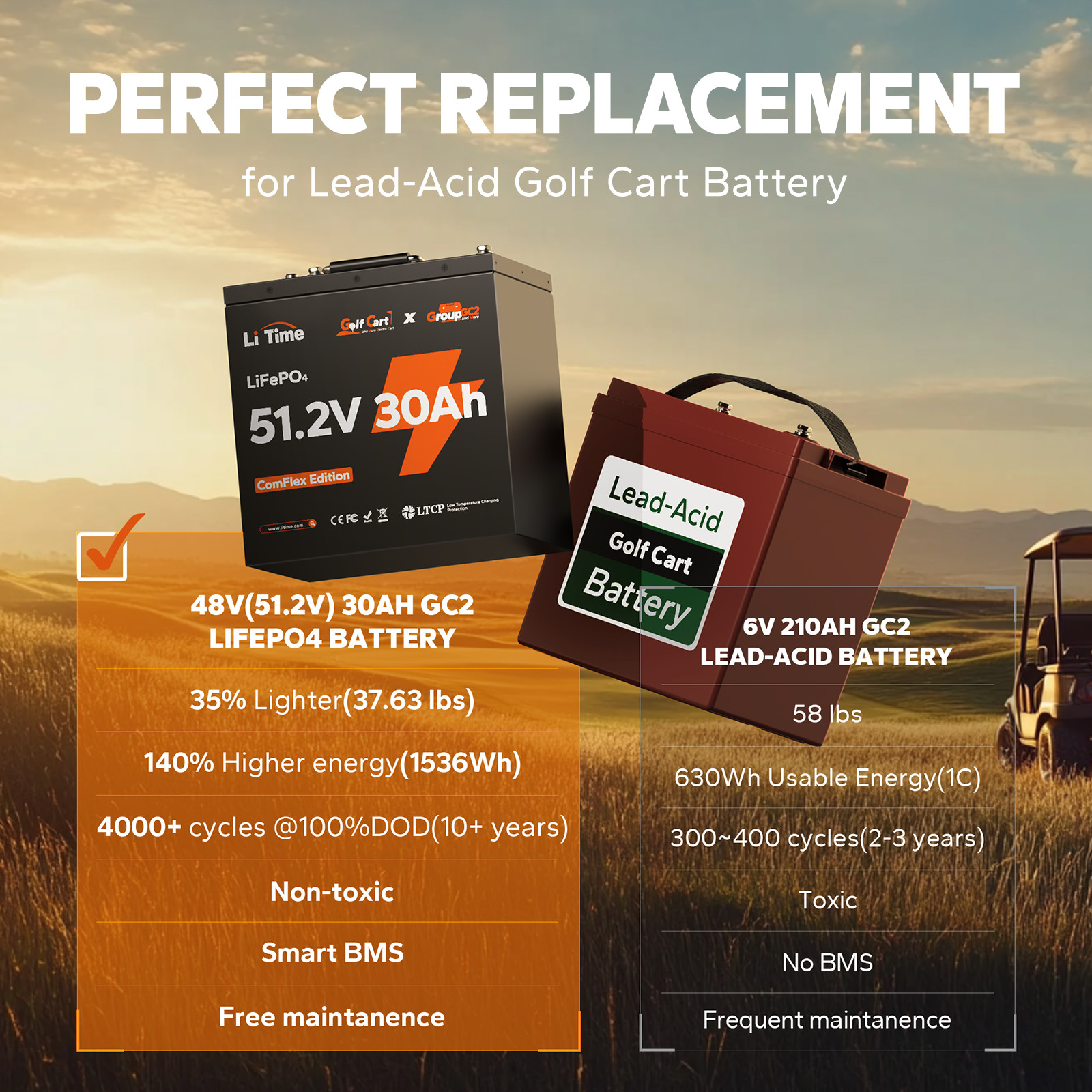 LiTime 48V 30Ah Lithium Golf Cart GC2 Battery with CAN/RS485 Communication LOT