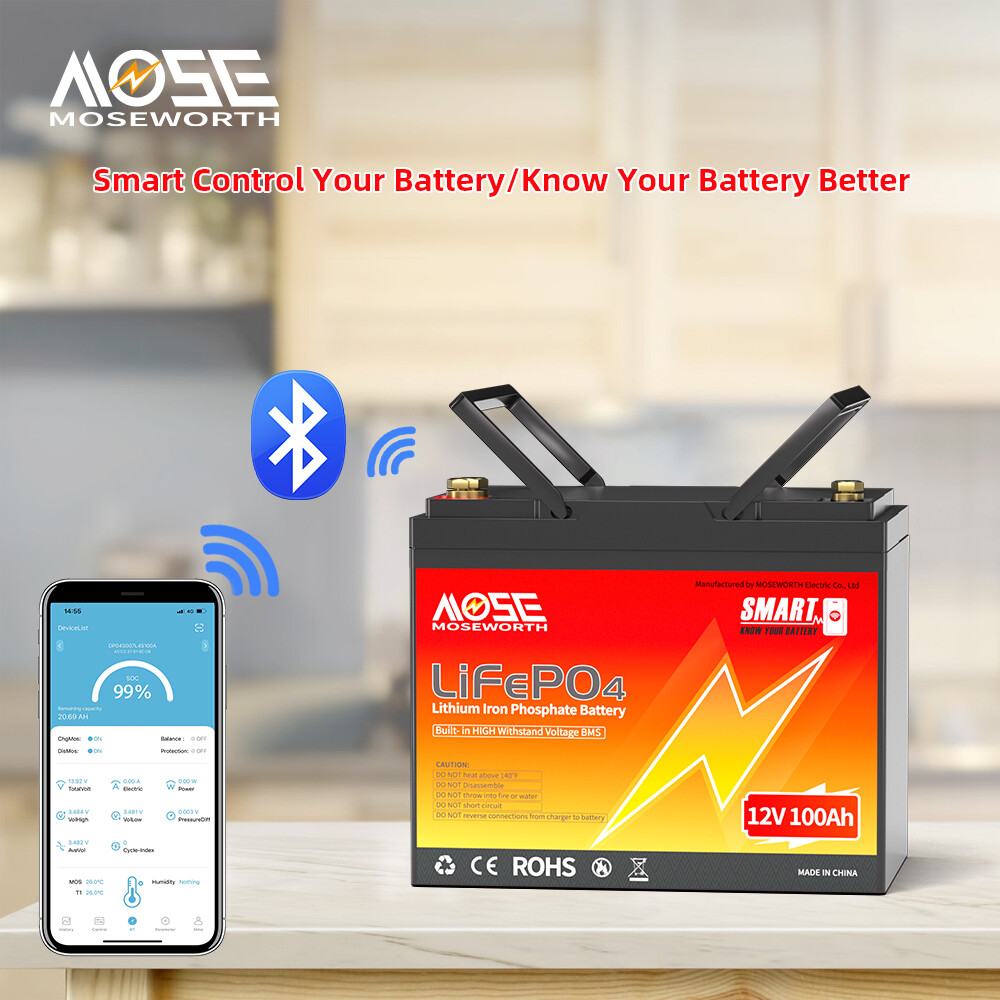 12V 100Ah LiFePO4 Bluetooth Lithium battery 15000+Deep Cycle BMS Solar Marine