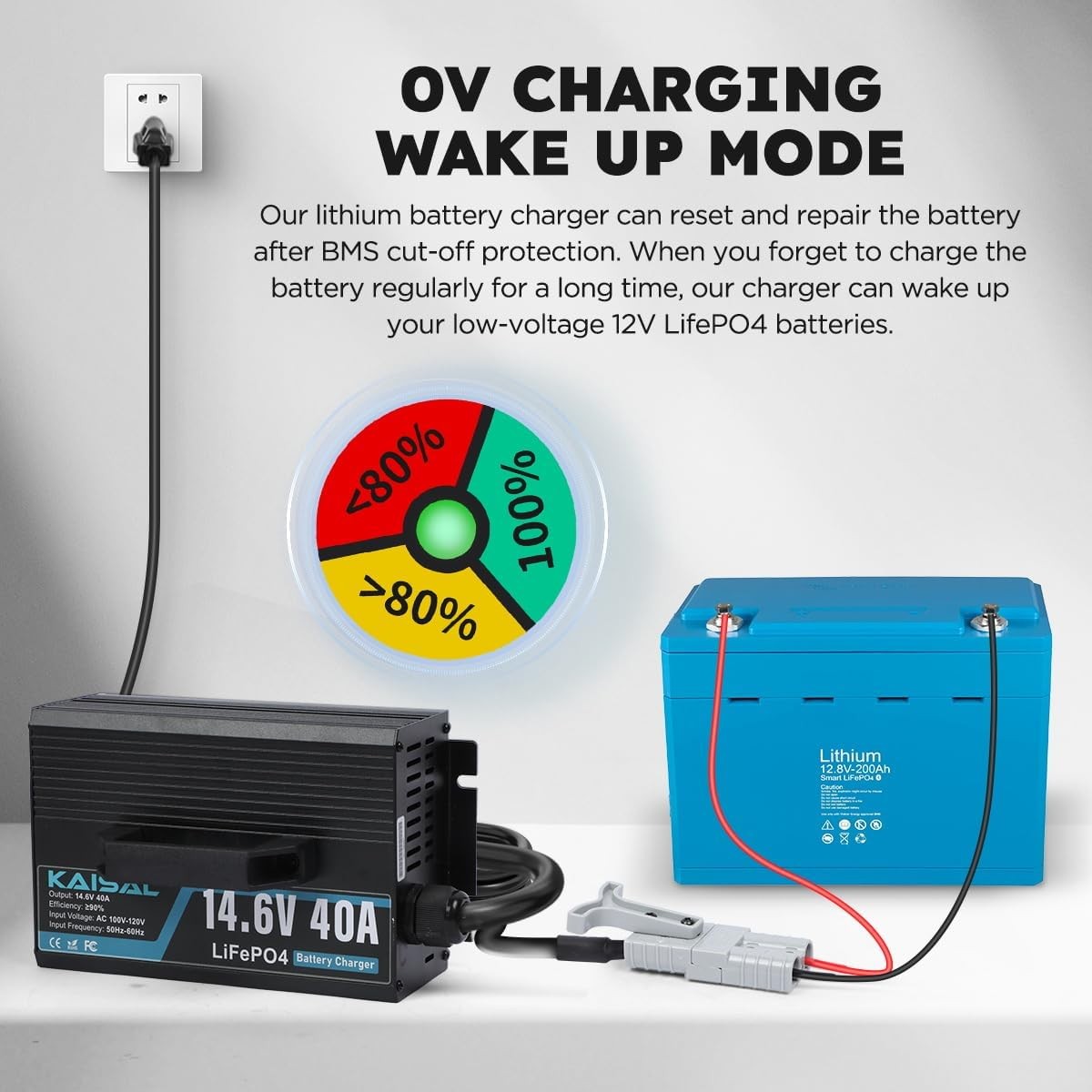 14.6V 40A LiFePO4 Smart Charger w/Temp Control for RV Solar Marine FCC/ETL US