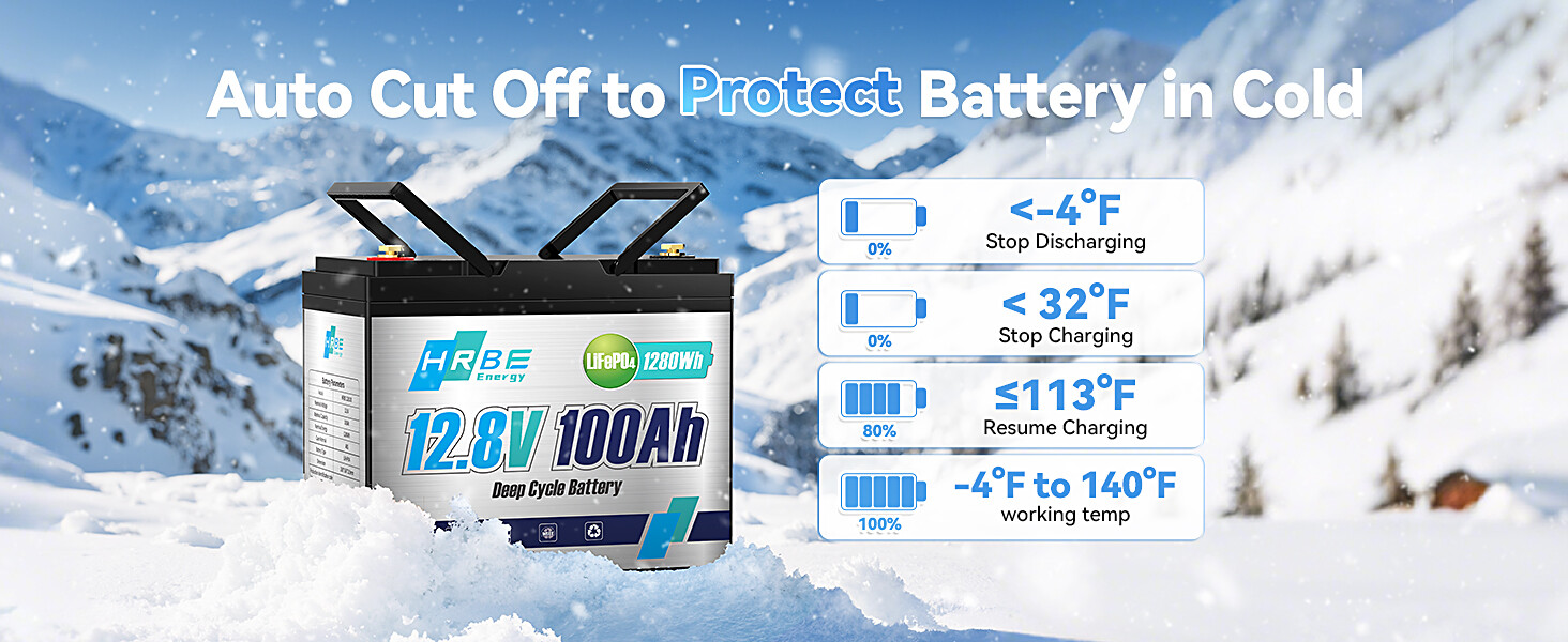 12V 100Ah LiFePO4 Lithium Battery BMS Deep Cycle For RV Solar Energy 1280Wh