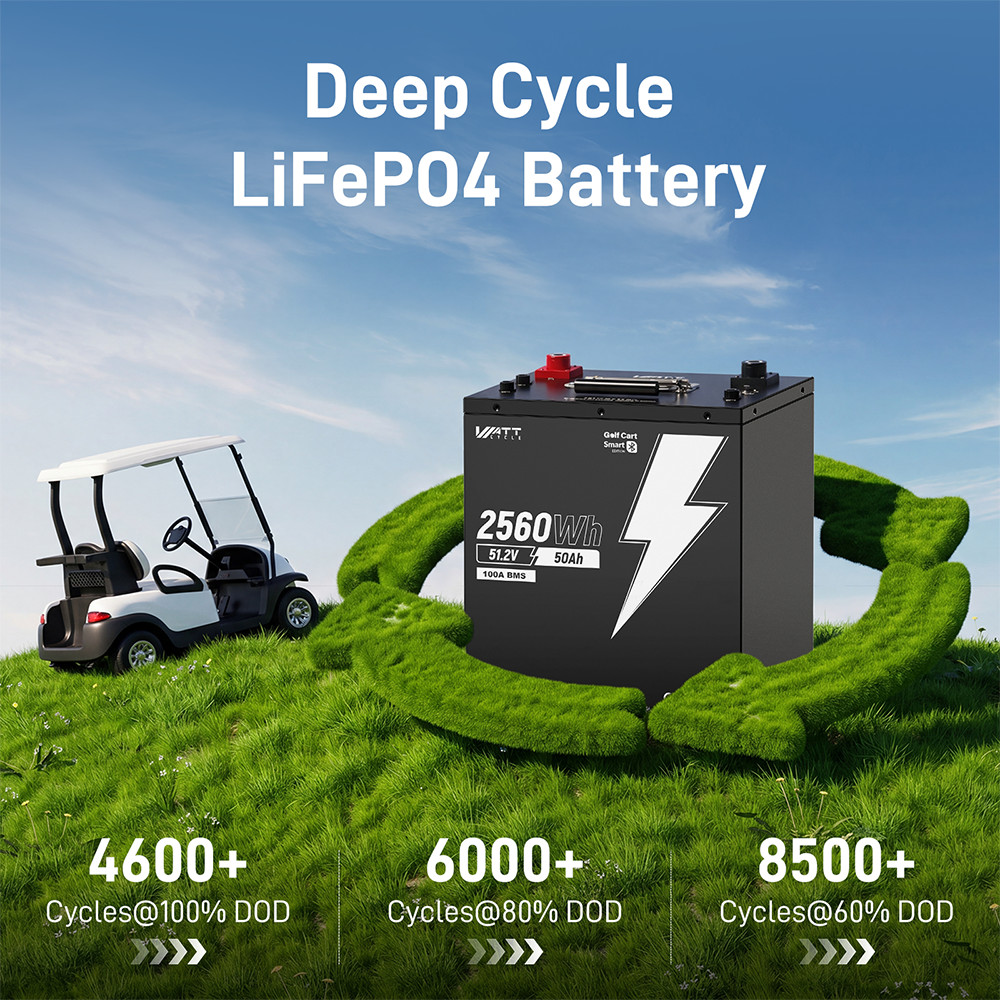 48V 50Ah 100A BMS 2560Wh LiFePO4 Lithium Golf Cart Battery + 58.4V 15A Charger