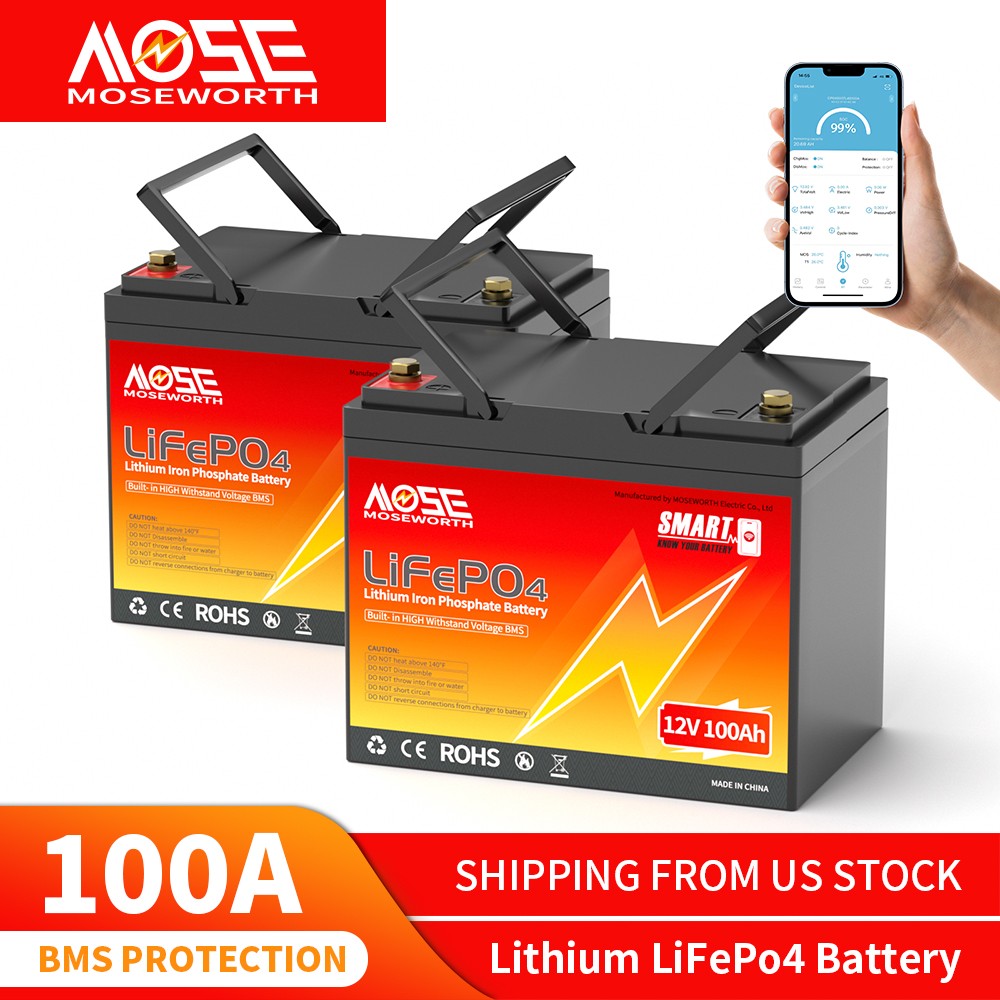 2 X 12V 100Ah Bluetooth LiFePO4 Lithium battery 100A BMS 2.56KW RV Solar Marine