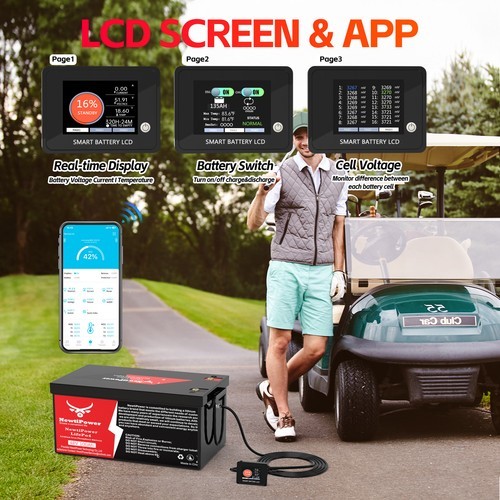 48V 100Ah LiFePO4 Lithium Golf Cart Battery 200A BMS RVs Off-grid solar 5120Wh