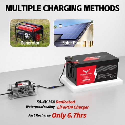 48V 100Ah LiFePO4 Lithium Golf Cart Battery 200A BMS RVs Off-grid solar 5120Wh
