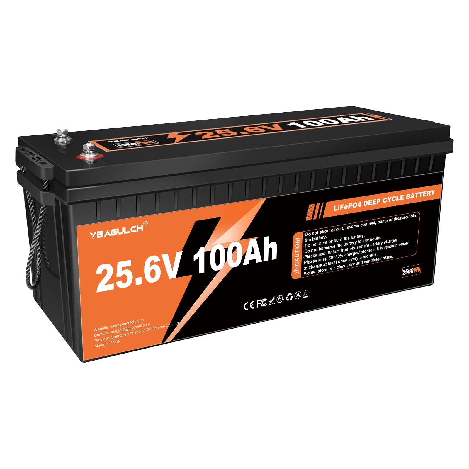 24V 100Ah LiFePO4 Lithium Battery 100A BMS Deep Cycle For RV Backup Power Supply