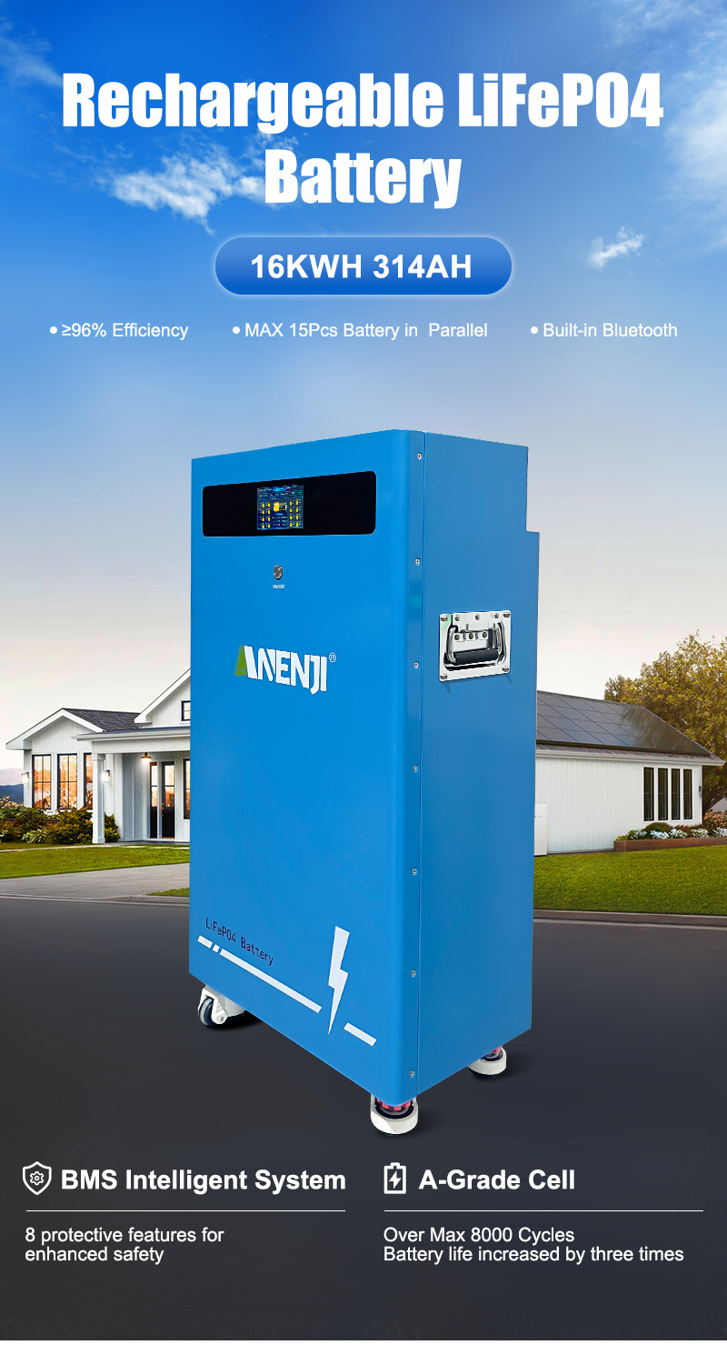 16KWh 314Ah 48V LiFePO4 Li-ion Battery 51.2V BMS for Solar Energy Storage System