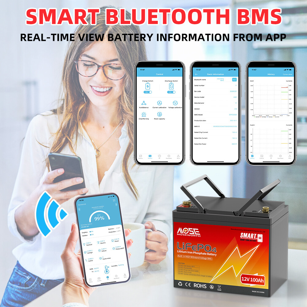 12V 100Ah LiFePO4 Bluetooth Lithium battery 15000+Deep Cycle BMS Solar Marine