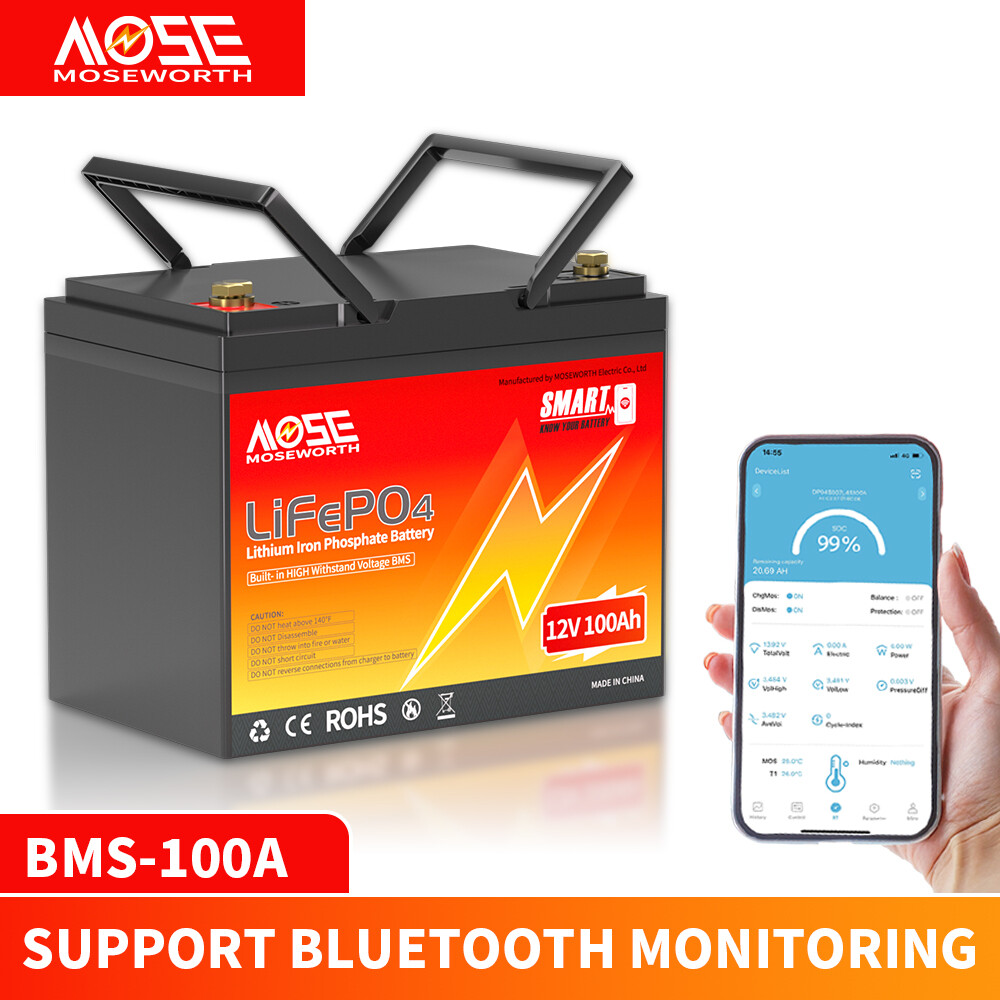 Bluetooth 12V 100Ah LiFePO4 Lithium battery Deep Cycle BMS RV Solar Off-grid NEW