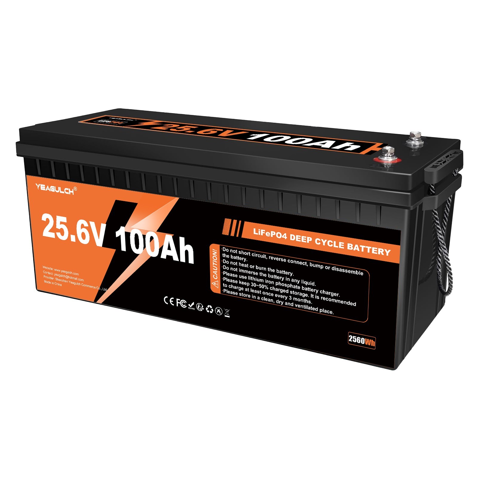 24V 100Ah LiFePO4 Lithium Battery 100A BMS Deep Cycle For RV Backup Power Supply