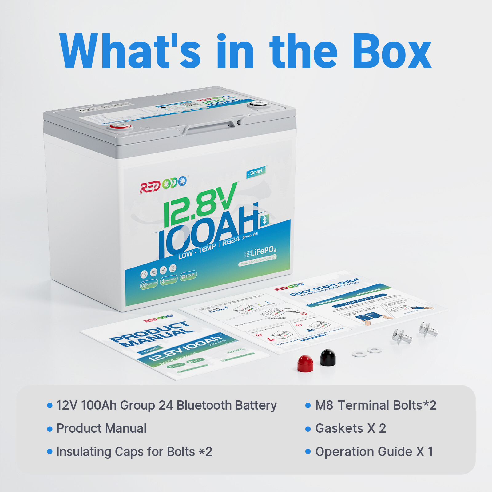 Redodo 12V 100Ah LiFePO4 Lithium Battery with Bluetooth & Low Temp Cut-off