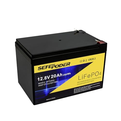 12V 20Ah Lithium LiFePO4 Deep Cycle Battery, 4000 Cycles 12V 20Ah-Mini