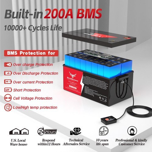 48V 100Ah LiFePO4 Lithium Golf Cart Battery 200A BMS RVs Off-grid solar 5120Wh