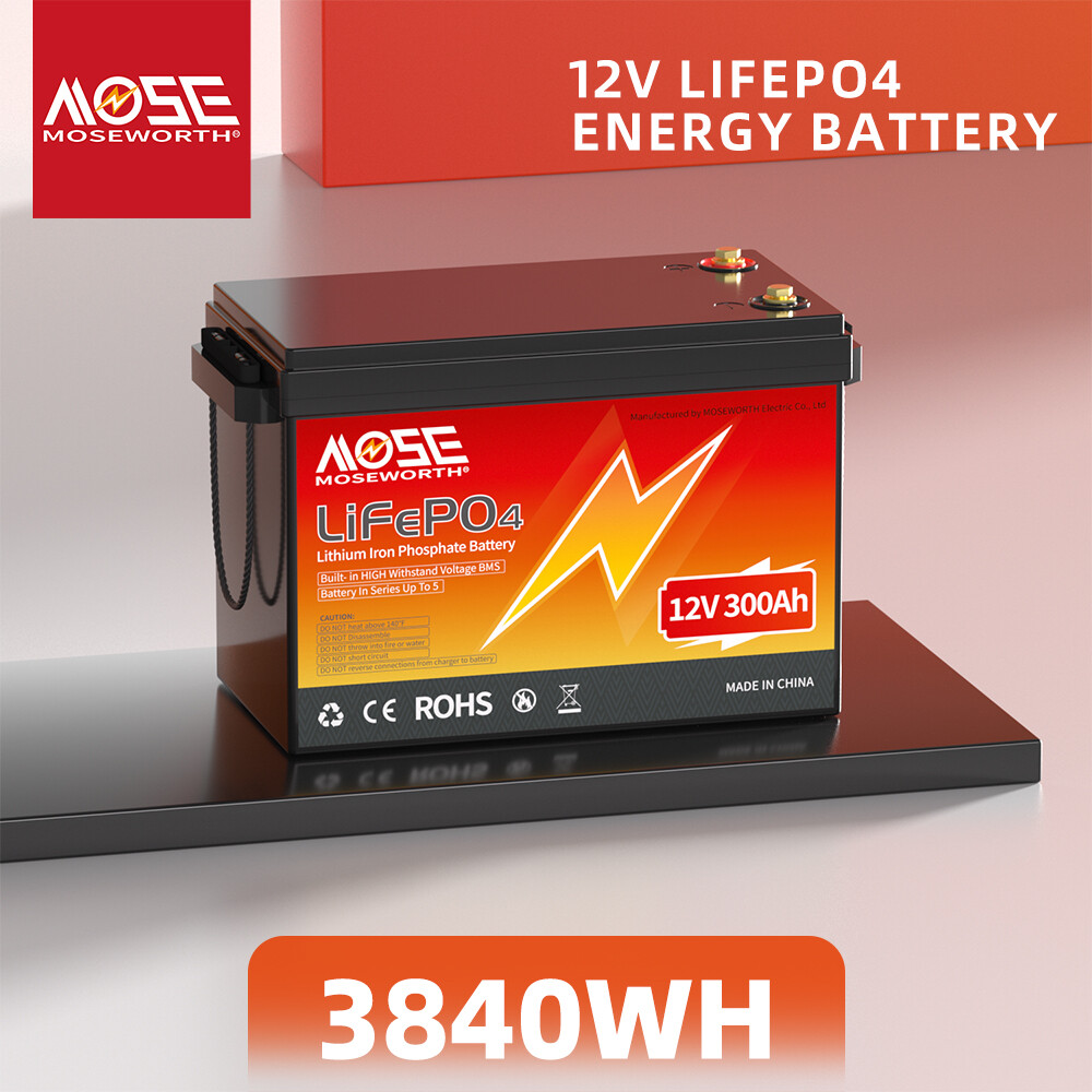 LiFePO4 12V 24V 50Ah 60Ah 100Ah 300Ah Lithium Battery Deep Cycle RV Solar Marine