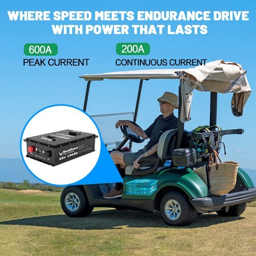 48V 100Ah Golf Cart LiFePO4 Lithium Battery with Charger 200A BMS Off-grid Solar