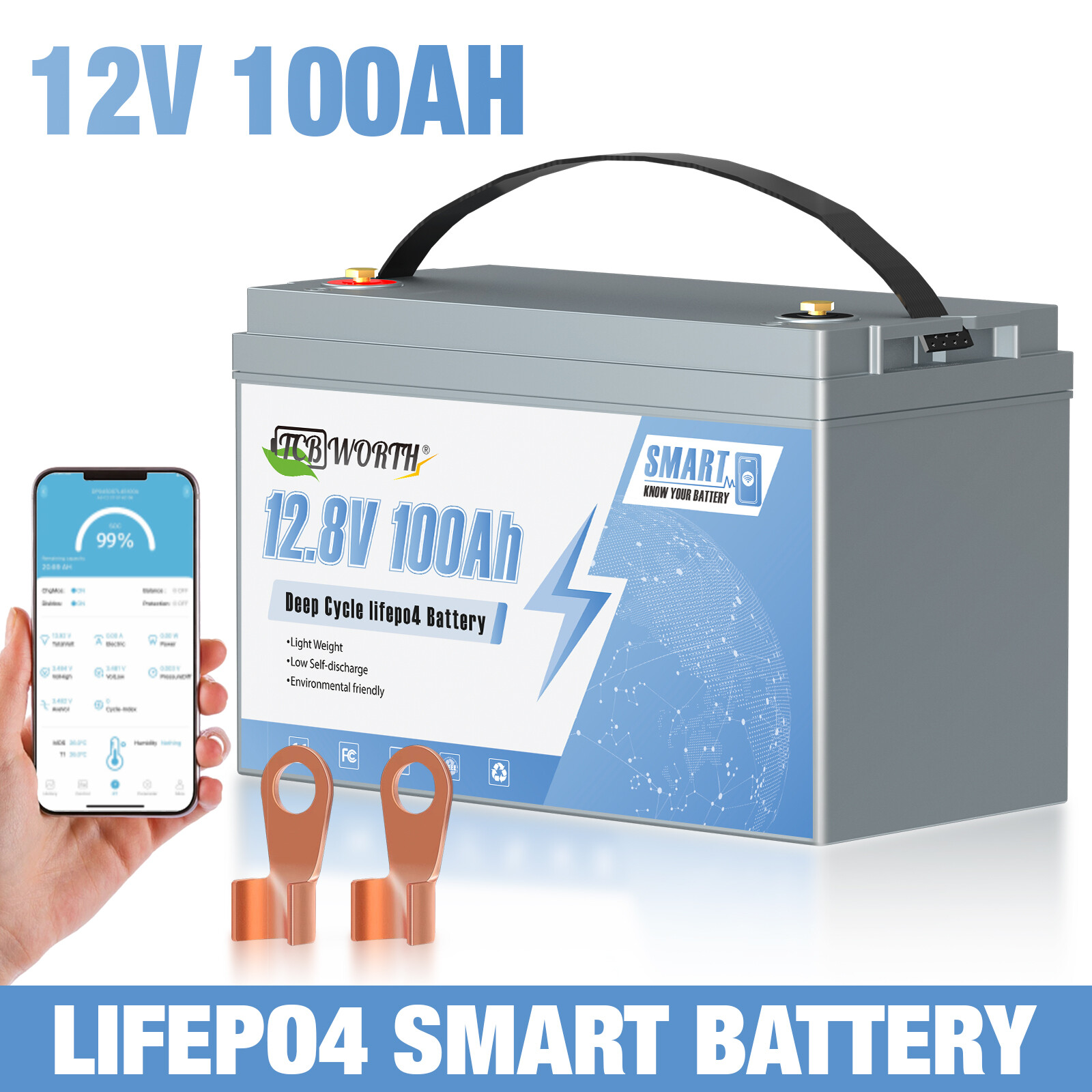 12V 100Ah Group 31 Bluetooth LiFePO4 Lithium 100A BMS Battery f/ RV Solar Marine