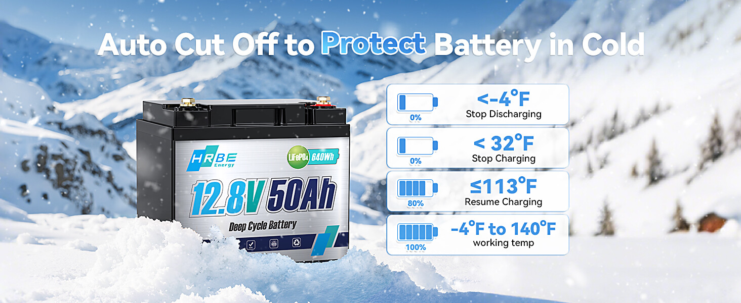 HRBEENERGY 12V 50Ah Battery Lithium Iron Phosphate LiFePO4 Battery For RV
