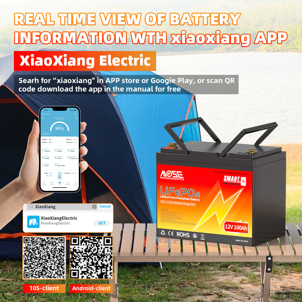 12V 24V 36V 48V 100Ah 300Ah 400Ah Bluetooth LiFePO4 Lithium Battery Solar Marine