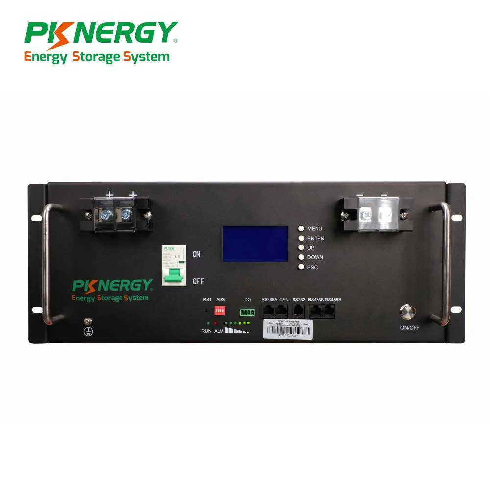 1Pack Server Rack 51.2V 100Ah LiFePO4 Lithium Battery for Off-grid Solar