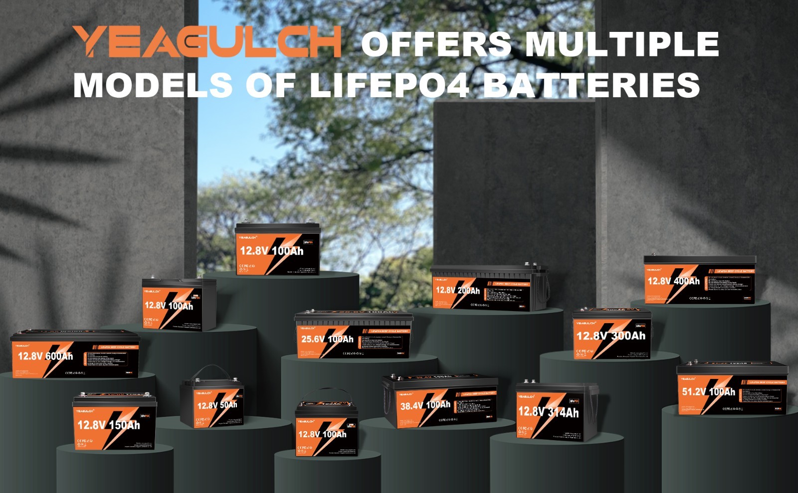 24V 100Ah LiFePO4 Lithium Battery 100A BMS Deep Cycle For RV Backup Power Supply